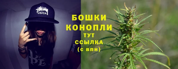 стаф Белоозёрский