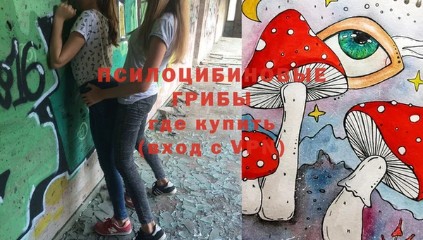 дмт Белокуриха