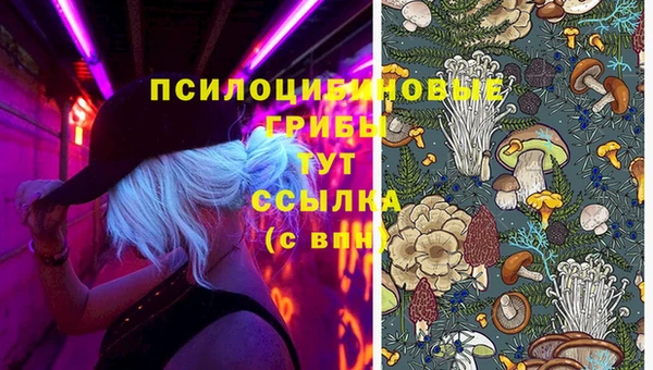 стаф Белоозёрский