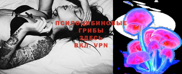 стаф Белоозёрский